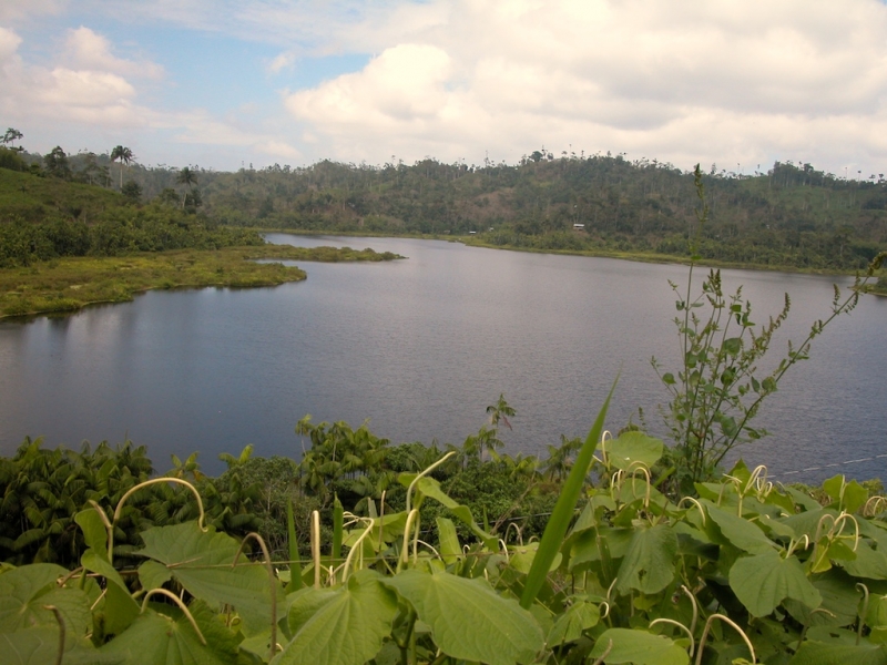 Reserva Ecológica Mache Chindul